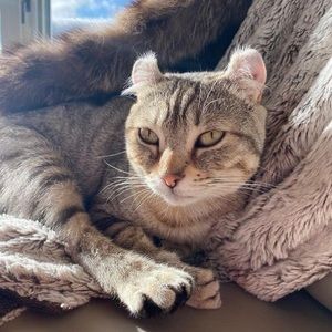 Meet your Posher, Diane